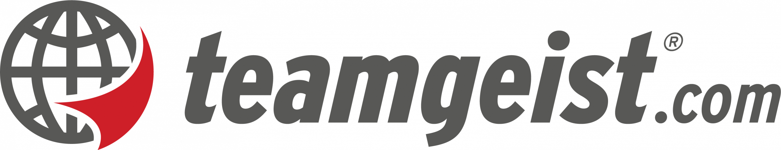 teamgeist_logo_bi